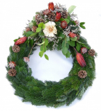 DSCN1147_edit-scaled-1